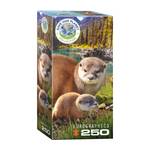 Otter Puzzle