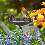 Vogeltr盲nke mit Erdspie脽 aus Gusseisen