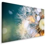 Peinture PISSENLIT Plante Nature 3D 90 x 60 x 60 cm