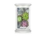 Succulents Classic Candle Gro脽e