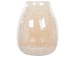 Blumenvase LIKOPORIA Beige - Weiß - Glas - 19 x 22 x 19 cm