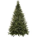 Fichte Weihnachtsbaum Christbaum
