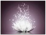 Glasbild Magie der Lotus-Blume Violett - 60 x 45 cm