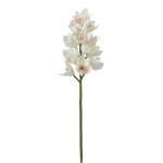 Orchidee Cymbidium Weiß - Kunststoff - 1 x 62 x 1 cm