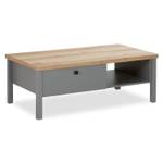 Couchtisch 2492 Grau - Holzwerkstoff - 110 x 40 x 60 cm