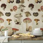 Tapete Pilz Beige - Papier - 200 x 250 x 1 cm