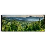 Panoramabild WALD Bäume See Berge Natur Beige - Blau - Grau - Grün - Textil - 145 x 45 x 45 cm