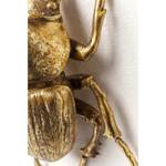 Déco murale Herkules Beetle Doré - Matière plastique - 27 x 41 x 14 cm