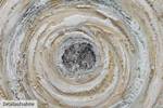 Acrylbild handgemalt Ruddle Maelstrom Beige - Massivholz - Textil - 80 x 80 x 4 cm