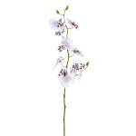 Orchidee Oncidium Violett - Kunststoff - 1 x 58 x 1 cm