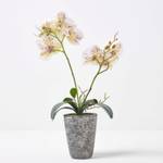 wei脽e Phalaenopsis-Orchidee K眉nstliche