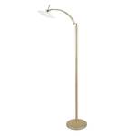 Staande lamp, geborsteld messing Messing - Glas - Metaal - 25 x 140 cm