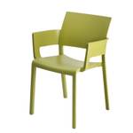 Chaises à accoudoirs Fiona (lot de 2) Vert olive