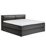 Premium Boxspringbett KINX Stoff KINX: Anthrazit - 200 x 200cm - H2 - 100 cm