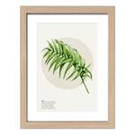 Impression dart Green Plant I Beige / Vert