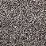 Paillasson Samson Gris - 60 x 100 cm - Gris - 60 x 100 cm