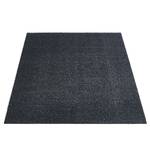 Paillasson Samson Anthracite - 100 x 150 cm - Anthracite - 100 x 150 cm