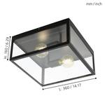 Plafondlamp Charterhouse glas / staal - 2 lichtbronnen