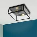 Plafondlamp Charterhouse glas / staal - 2 lichtbronnen