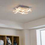 LED-plafondlamp Talavera Plexiglas/aluminium - 4 lichtbronnen
