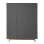 Armoire à portes battantes LINDHOLM Gris - Largeur : 154 cm