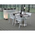 Chaises à accoudoirs Sun (lot de 2) Matière plastique / Aluminium - Blanc