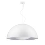 LED-hanglamp Ray staal - 1 lichtbron - Diameter: 41 cm