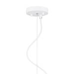 LED-hanglamp Ray staal - 1 lichtbron - Diameter: 66 cm