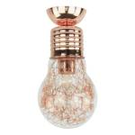 Plafonnier Bulb Acier - 1 ampoule