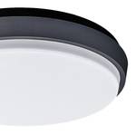 LED-Außenwandleuchte Tromso VI Acrylglas / Stahl  - 1-flammig