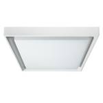 LED-buitenwandlamp Tromso III plexiglas / staal  - 1 lichtbron