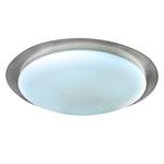 LED-plafondlamp Triest plexiglas / staal  - 1 lichtbron