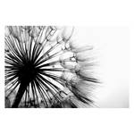 Impression sur toile Big dandelion Gris - Bois massif - Textile - 120 x 80 x 2 cm