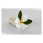 Impression sur toile Beauty Blossom Blanc - Bois massif - Textile - 120 x 80 x 2 cm
