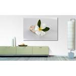 Impression sur toile Beauty Blossom Blanc - Bois massif - Textile - 120 x 80 x 2 cm
