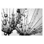 Afbeelding  Dandelion Seed Grijs - Massief hout - Textiel - 120 x 80 x 2 cm