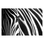 Impression sur toile Animal Stripes Noir - Bois massif - Textile - 120 x 80 x 2 cm