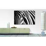 Impression sur toile Animal Stripes Noir - Bois massif - Textile - 120 x 80 x 2 cm