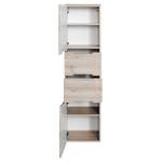 Hochschrank Belluno Buche Iconic Dekor