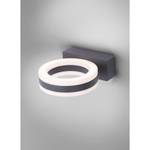 LED-wandlamp Chris I plexiglas / aluminium - 2 lichtbronnen