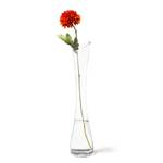 Vase Sprout Verre - Transparent