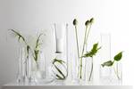 Vase Dynamic Glas - Transparent - Höhe: 30 cm