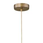 Suspension Erin Fer - 1 ampoule