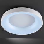 LED-Deckenleuchte Cameron Acrylglas - 1-flammig