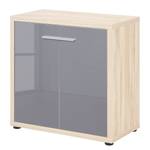 Armoire de bureau Set Plus Gris / Imitation chêne