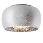 Plafondlamp Gleam Glas/staal - 5 lichtbronnen - Zilver