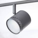 LED-plafondlamp Cavi III Plexiglas/staal - 6 lichtbronnen