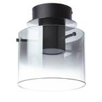 LED-plafondlamp Beth I Glas/staal - 1 lichtbron - Zwart