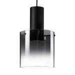 LED-hanglamp Beth II Glas/staal - 2 lichtbronnen - Zwart