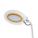 LED-tafellamp Elina Plexiglas/staal - 1 lichtbron - Wit